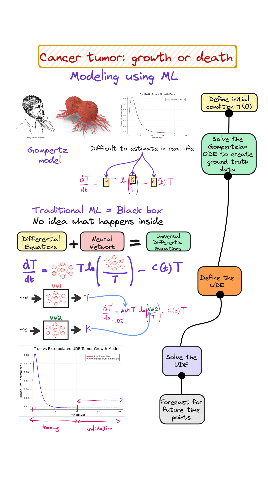Cancer Tumor: growth or death modeling using UDEs